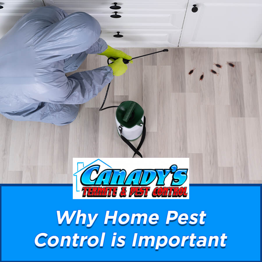 Home pest control