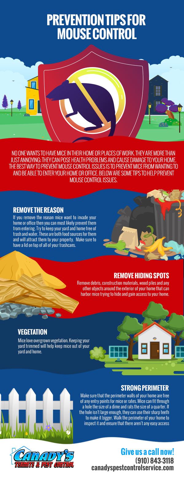 Prevention Tips for Mouse Control [infographic]