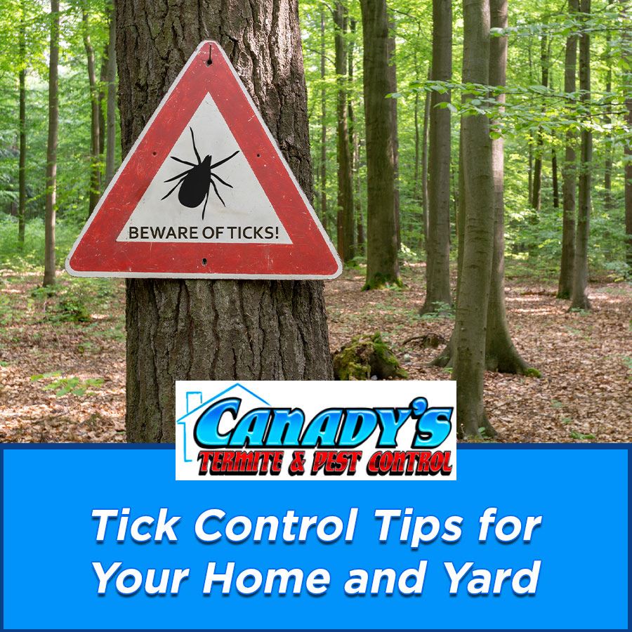 Tick Control Tips for Your Home and Yard